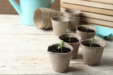 Young seedlings in peat pots on white wooden table