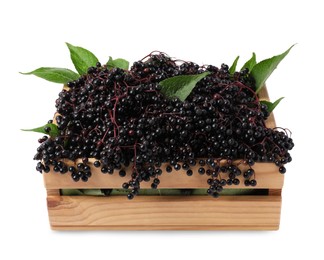 Crate with ripe elderberries and green leaves isolated on white