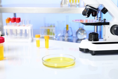 Photo of Petri dish with urine sample for analysis and microscope on table in laboratory