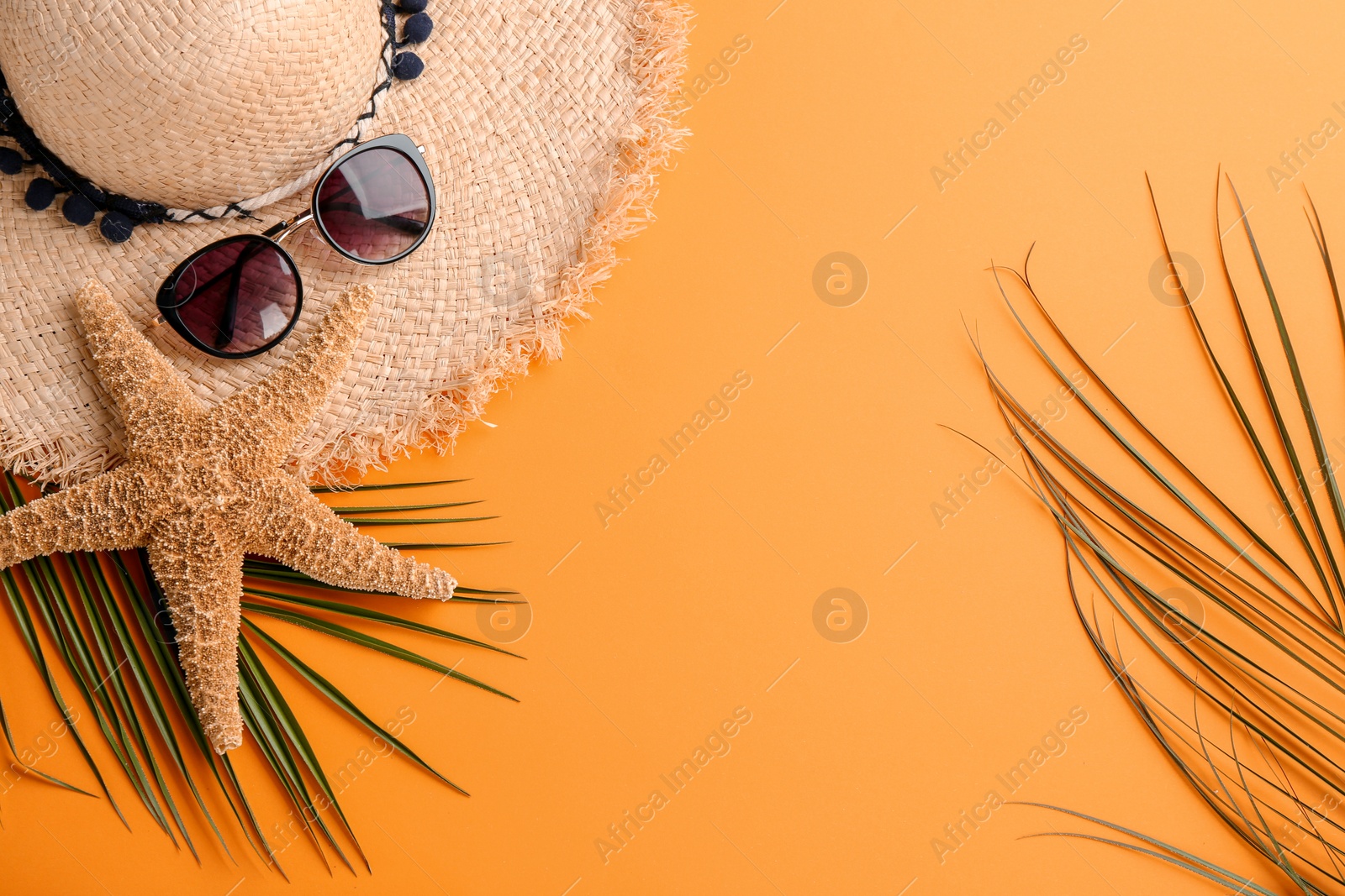 Photo of Flat lay composition with stylish hat and beach objects on color background