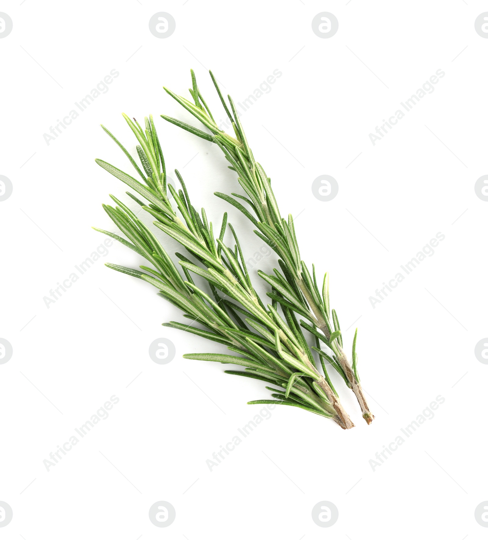 Photo of Fresh green rosemary isolated on white, top view. Aromatic herb