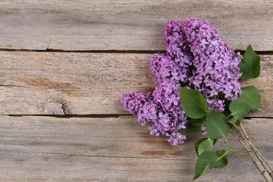 Photo of Beautiful lilac flowers on wooden table, top view. Space for text