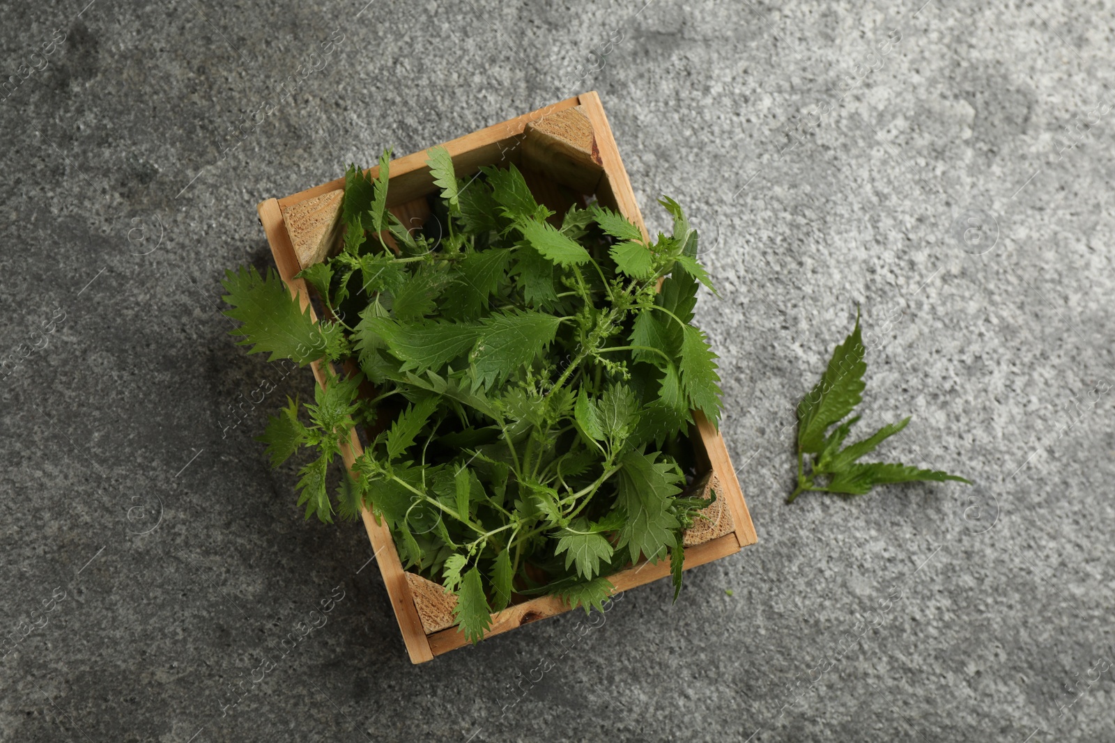 Photo of Fresh stinging nettle leaves on grey table, flat lay