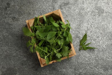 Fresh stinging nettle leaves on grey table, flat lay