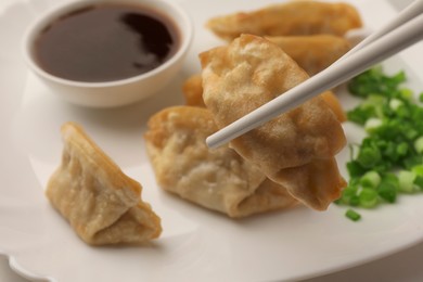 Photo of Taking delicious gyoza (asian dumpling) from plate, closeup