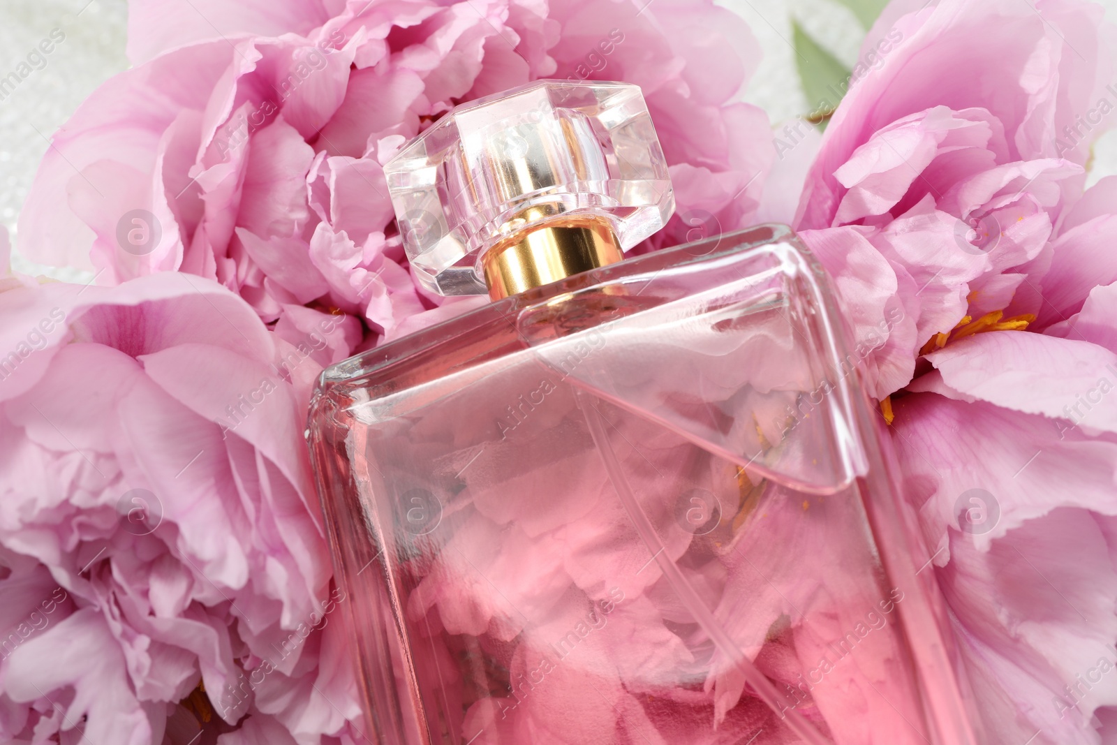 Photo of Luxury perfume and floral decor on table, closeup