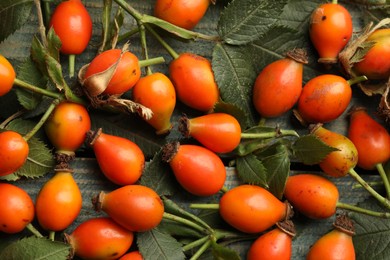 Photo of Ripe rose hip berries on green leaves, top view