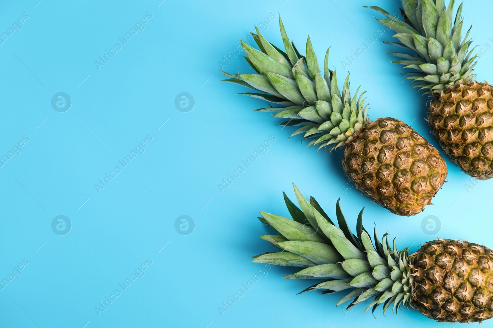 Photo of Fresh ripe juicy pineapples on light blue background, flat lay. Space for text