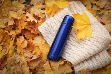 Photo of Blue thermos and knitted scarf on fallen maple leaves outdoors, flat lay