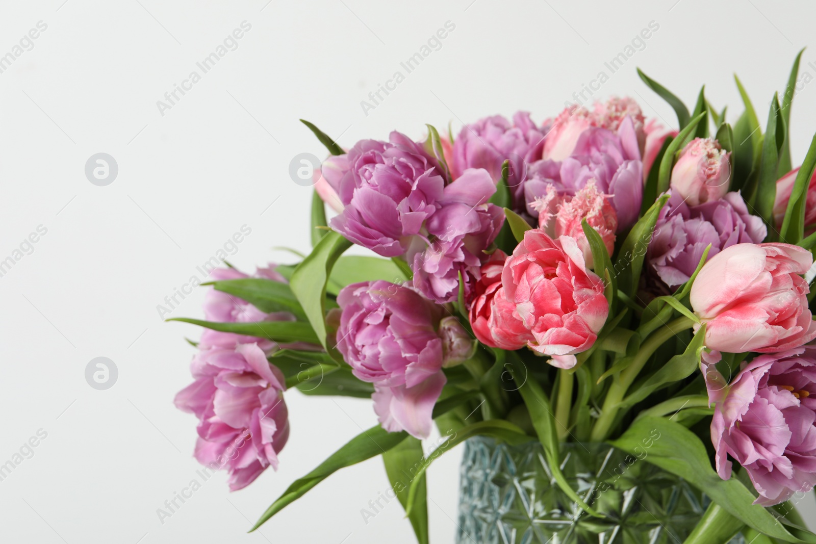 Photo of Beautiful bouquet of colorful tulip flowers against white background, closeup. Space for text