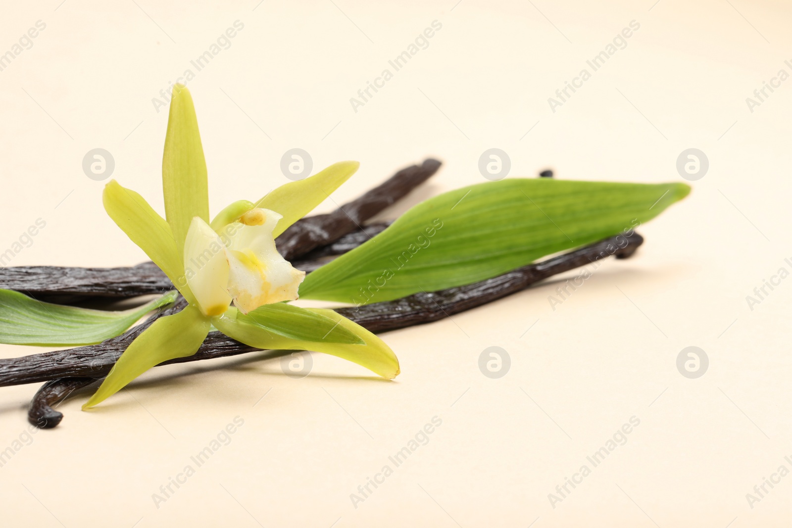 Photo of Vanilla pods, beautiful flower and green leaves on beige background, closeup