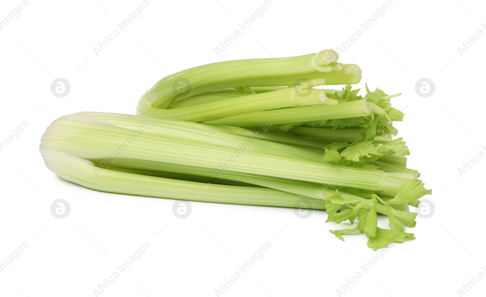 Photo of Fresh green celery bunches isolated on white