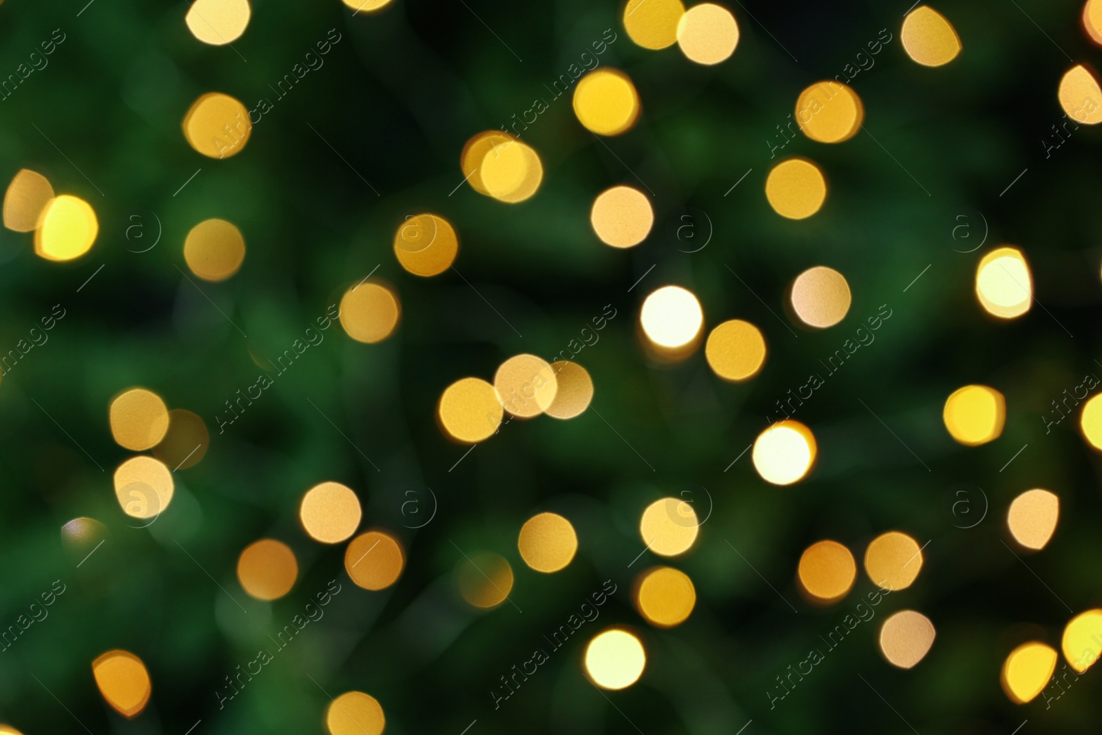 Photo of Abstract background with blurred yellow Christmas lights, bokeh effect