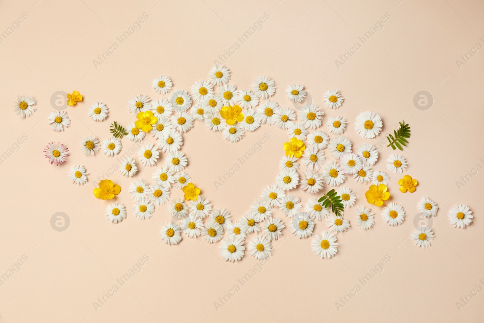 Photo of Heart shaped frame of beautiful flowers on beige background, flat lay. Space for text