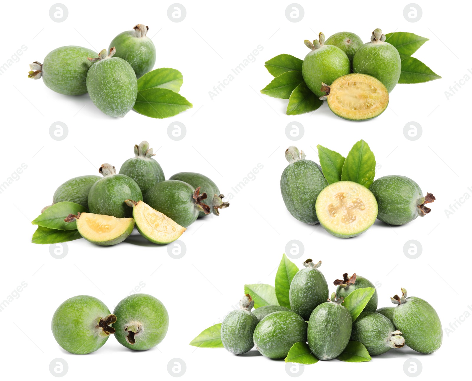 Image of Set of fresh ripe feijoas on white background