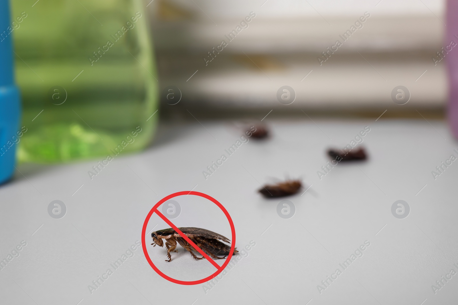 Image of Cockroach with red prohibition sign on table. Pest control