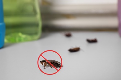 Image of Cockroach with red prohibition sign on table. Pest control