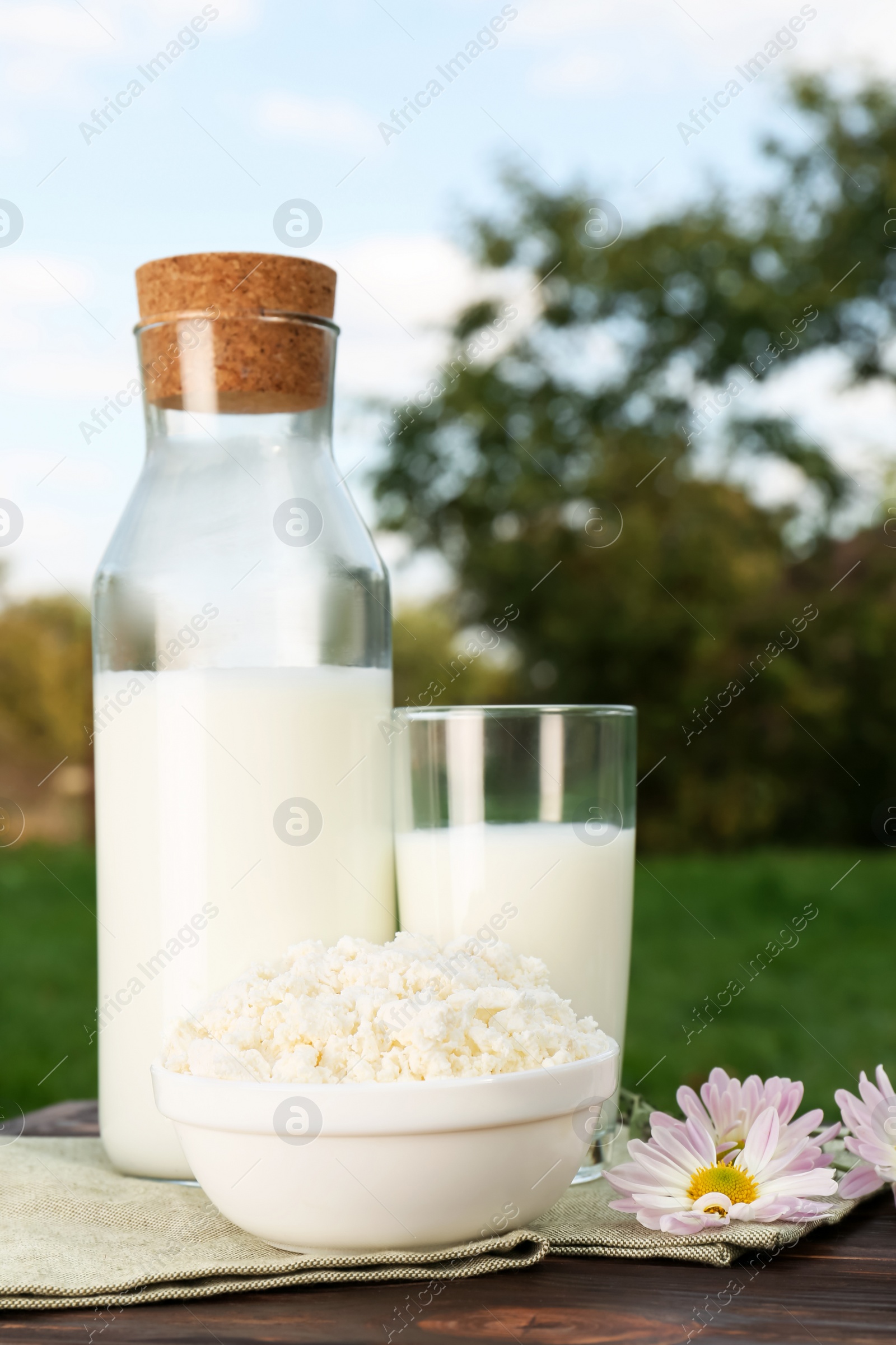 Photo of Tasty fresh milk and cottage cheese on wooden table outdoors