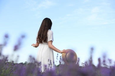 Young woman with straw hat in lavender field on summer day