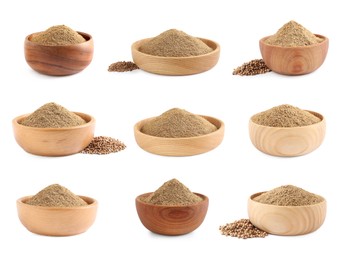 Set with coriander seeds and powder on white background