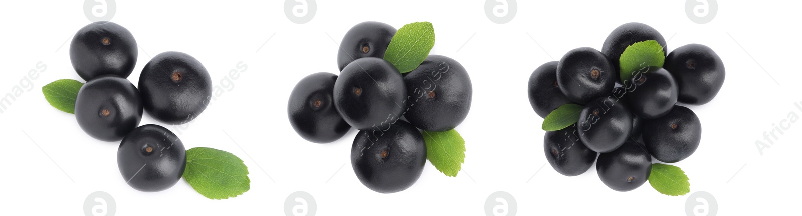 Image of Set with acai berries on white background, top view. Banner design