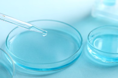 Dripping liquid from pipette into petri dish at light table, closeup. Laboratory analysis