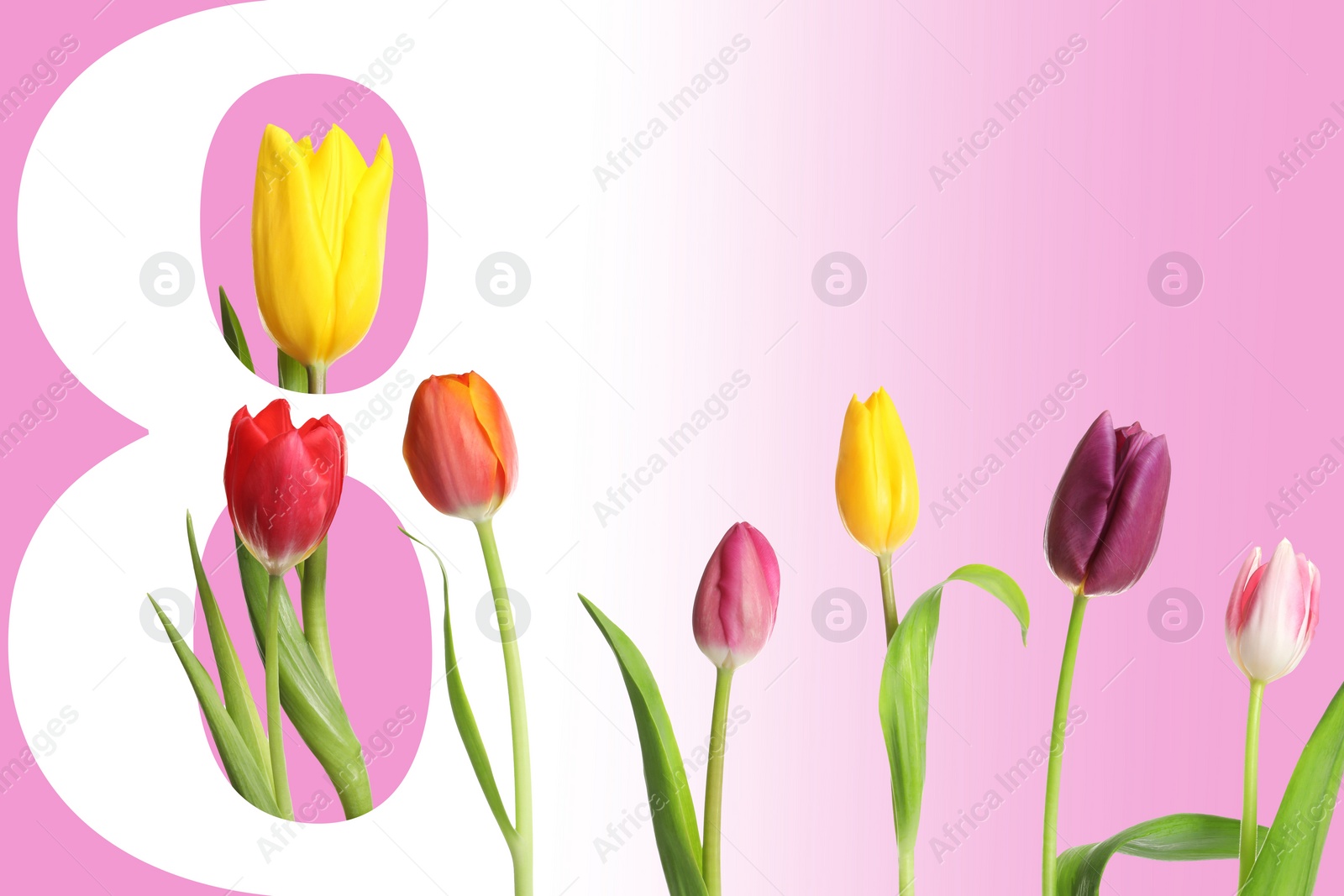 Image of March 8 - International Women's Day. Greeting card design with number 8 and flowers on pink background