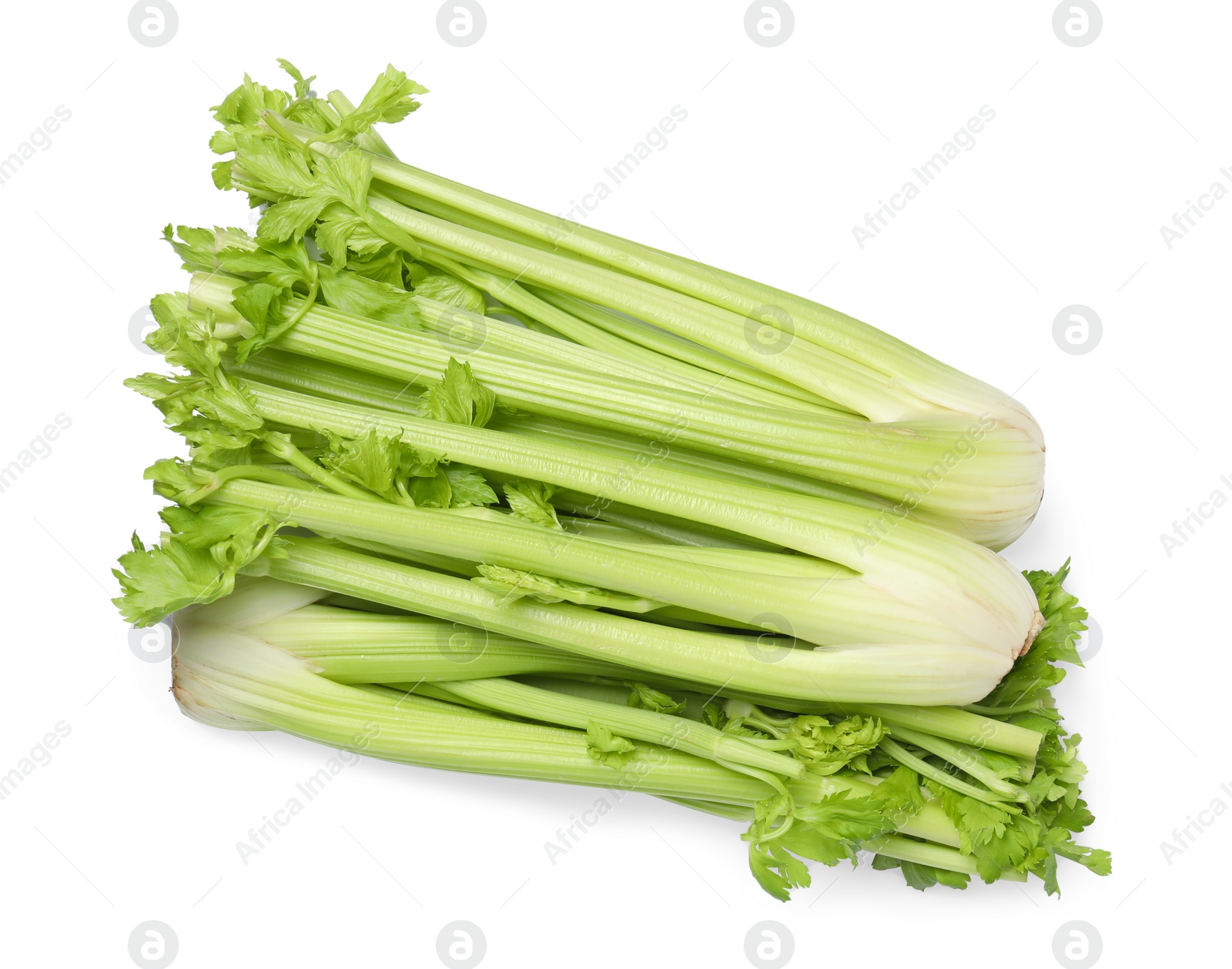 Photo of Fresh green celery bunches isolated on white, top view