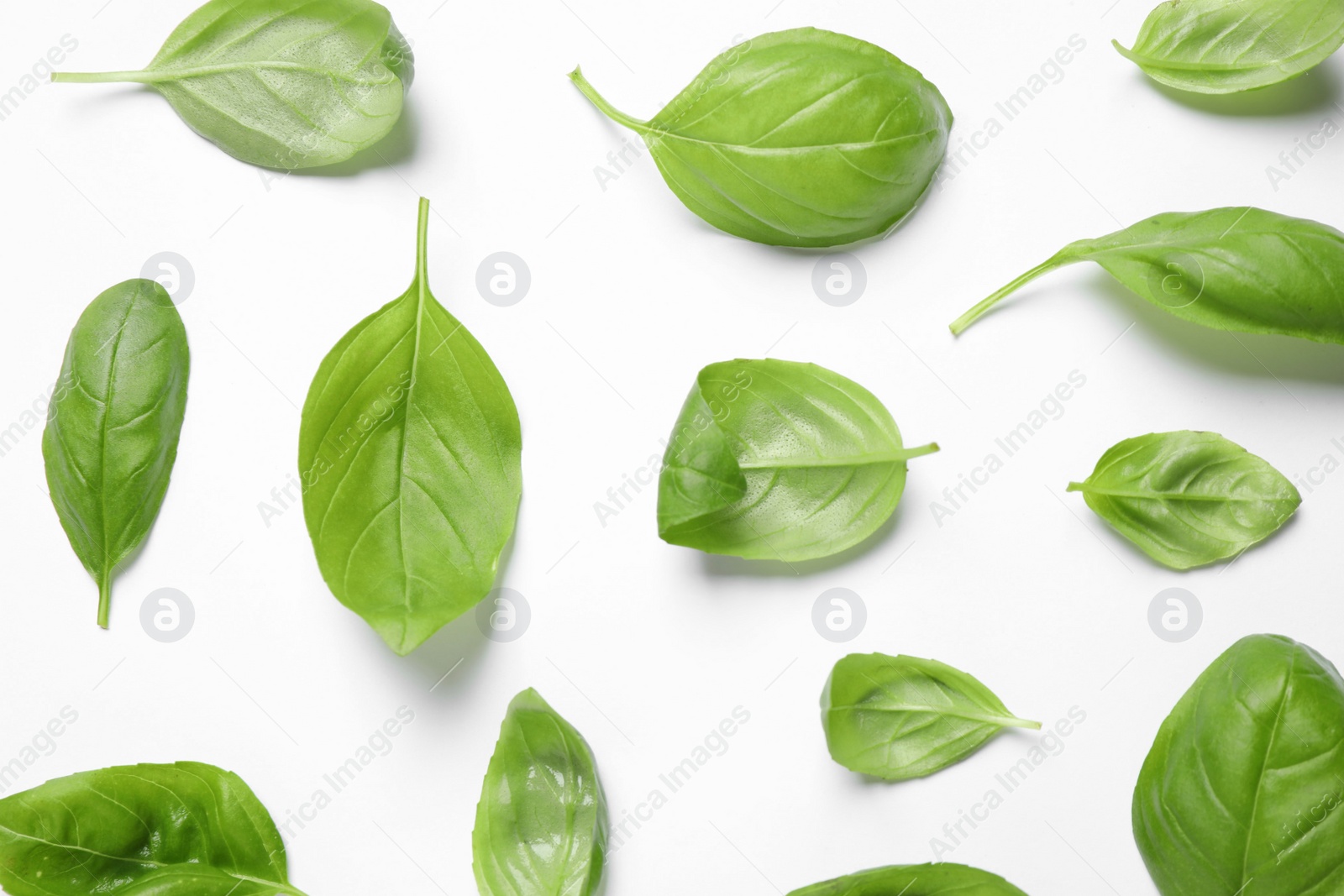 Photo of Fresh green basil leaves on white background, top view