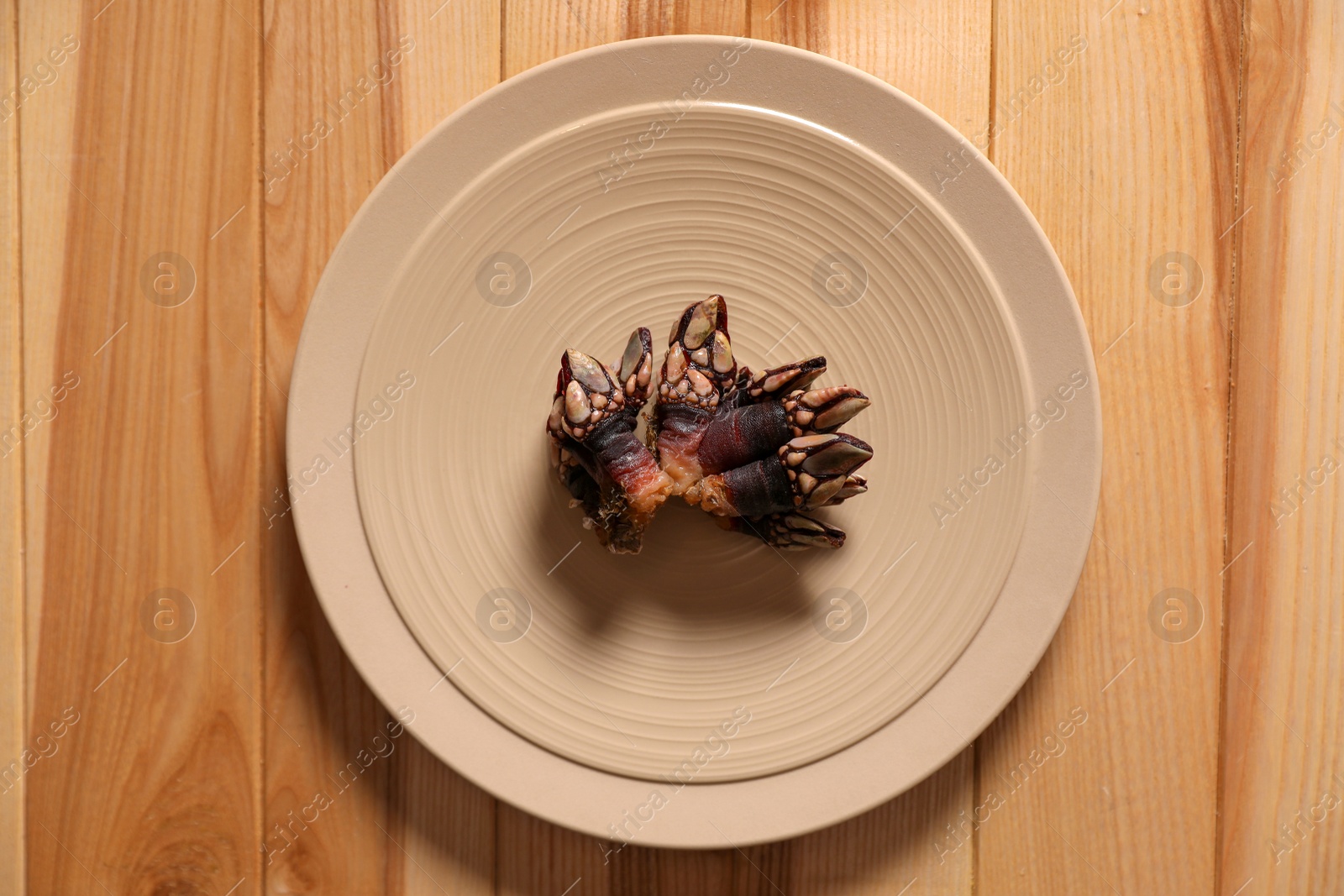 Photo of Fresh goose barnacle on wooden table, top view