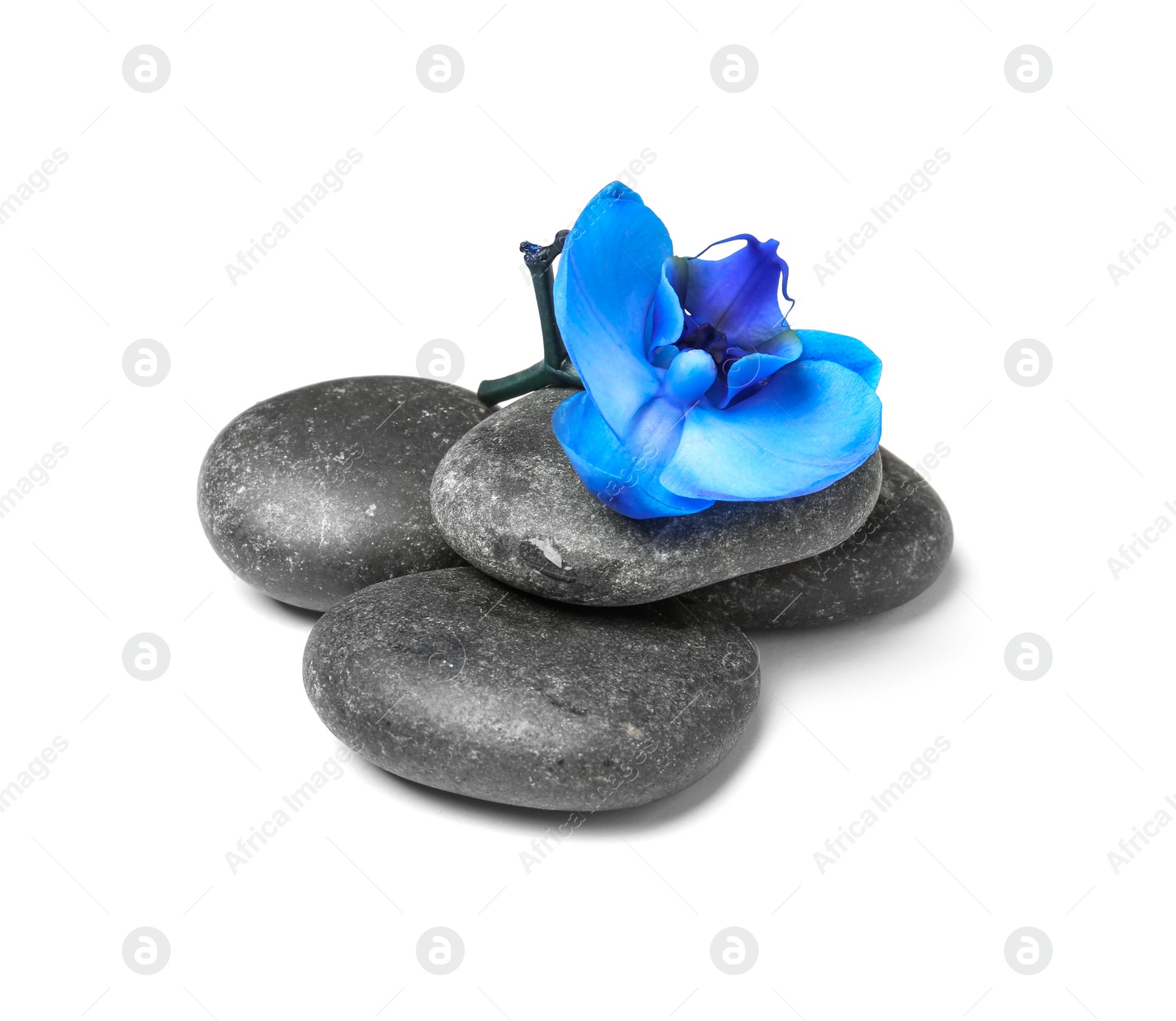 Photo of Spa stones with orchid flower on white background