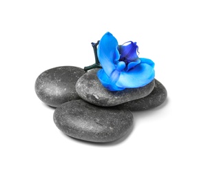 Photo of Spa stones with orchid flower on white background