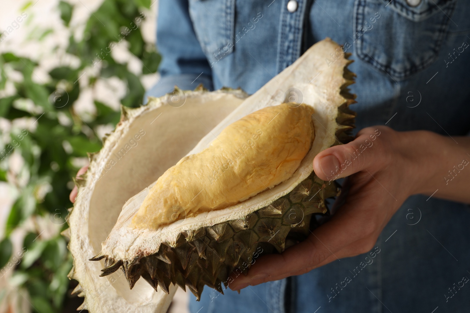 Photo of Woman holding fresh ripe durian indoors, closeup