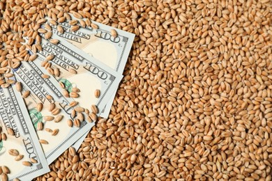 Dollar banknotes on wheat grains, top view. Agricultural business