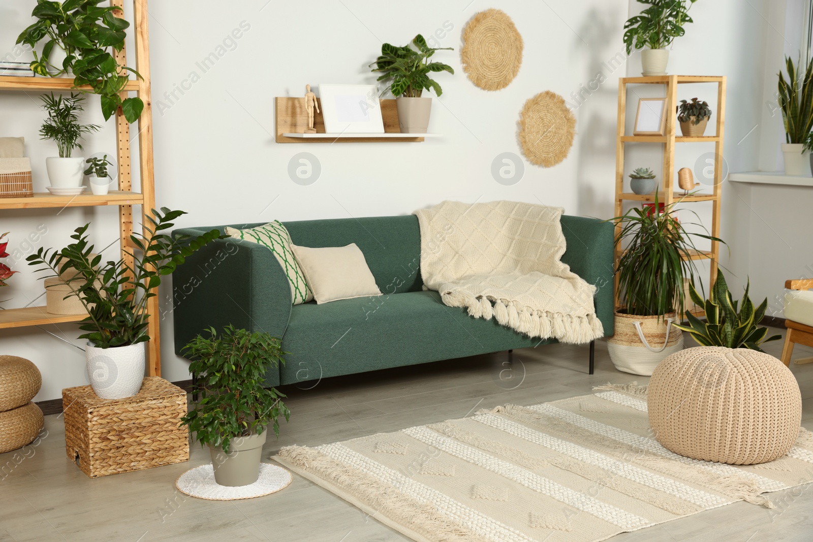 Photo of Living room interior with beautiful different potted green plants and furniture. House decor