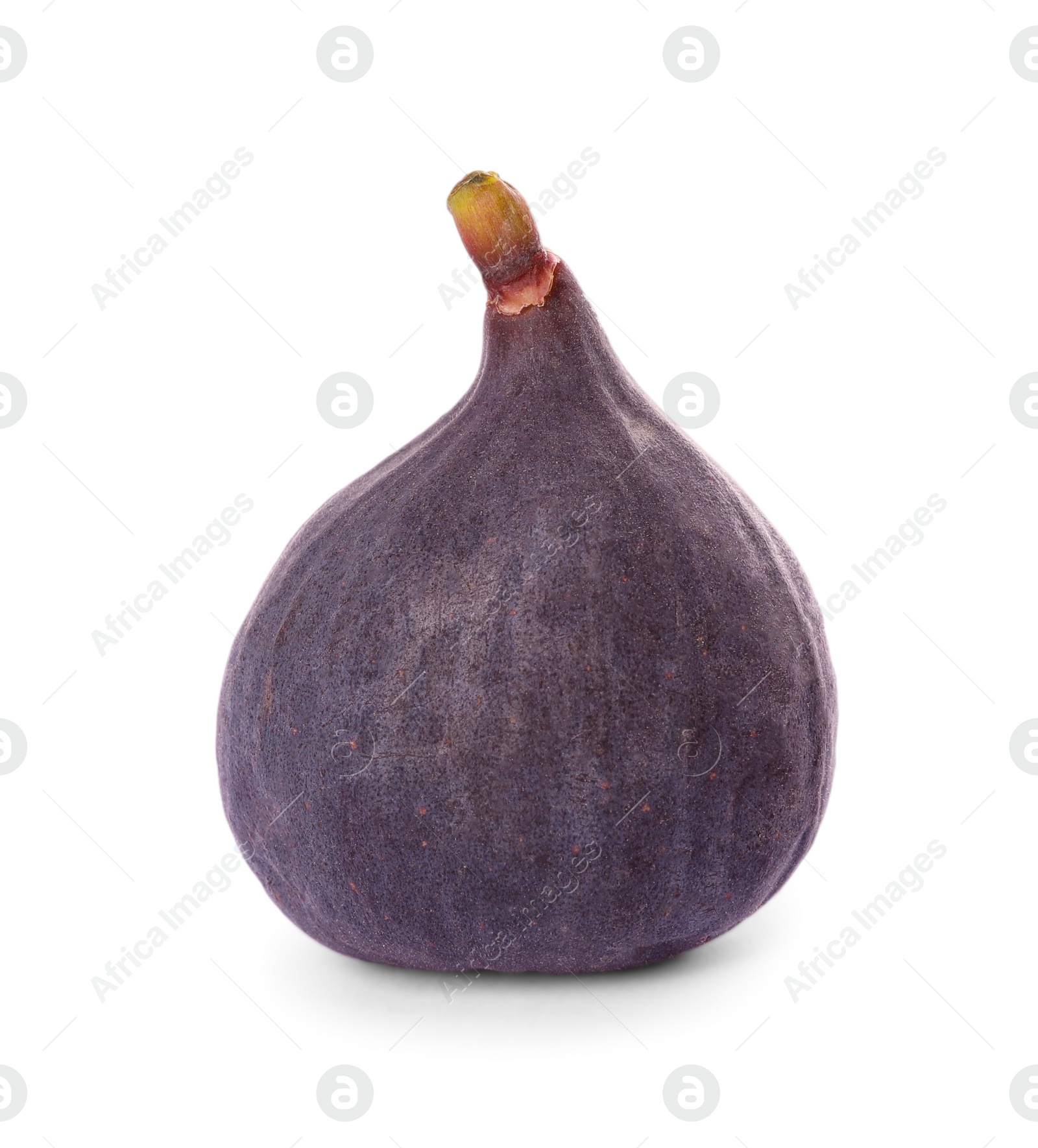 Photo of Whole tasty fresh fig isolated on white