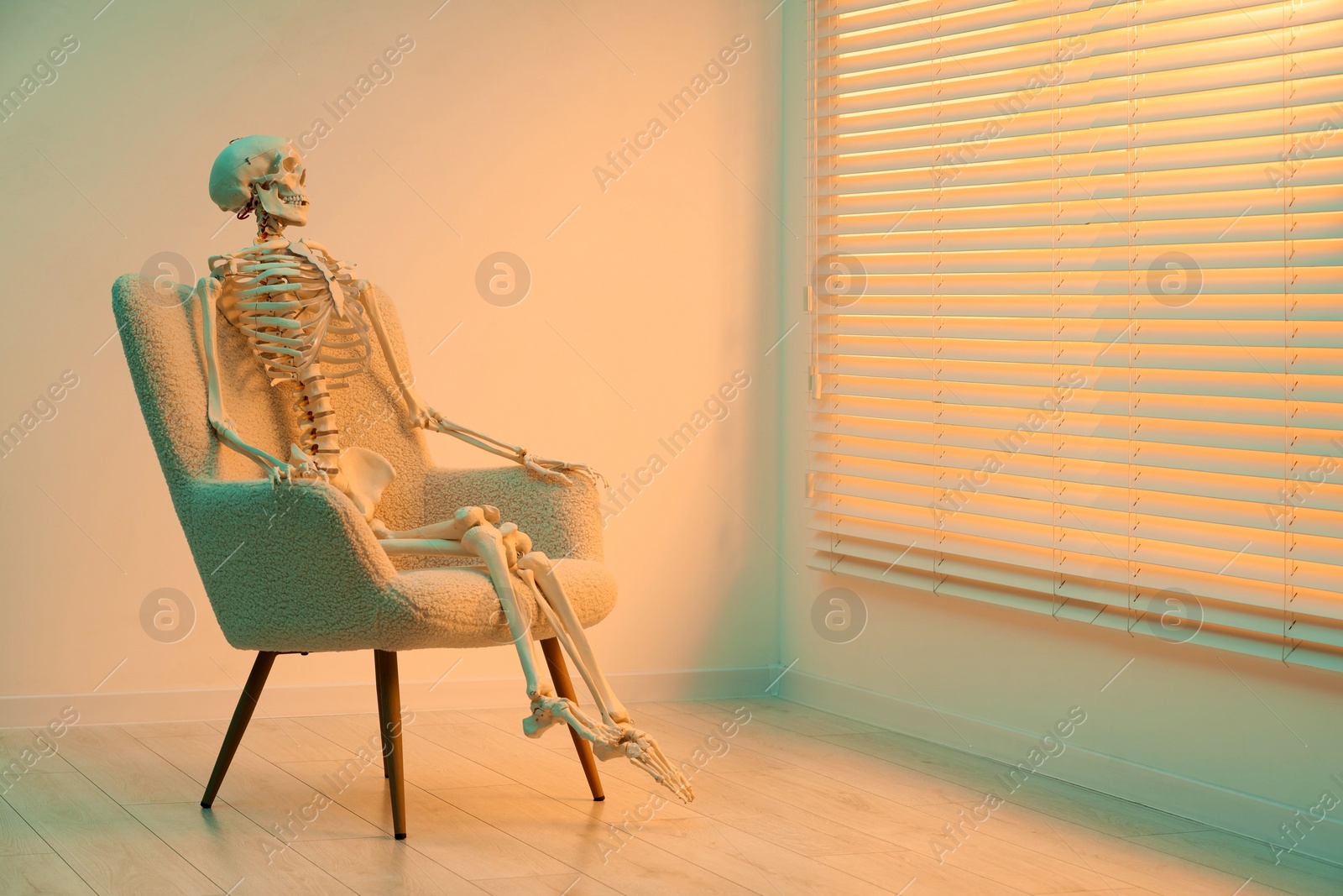 Photo of Waiting concept. Human skeleton sitting in armchair indoors, space for text