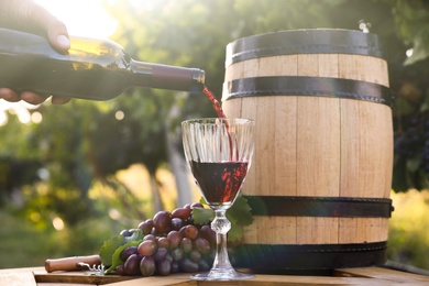 Man pouring wine from bottle into glass in vineyard, closeup