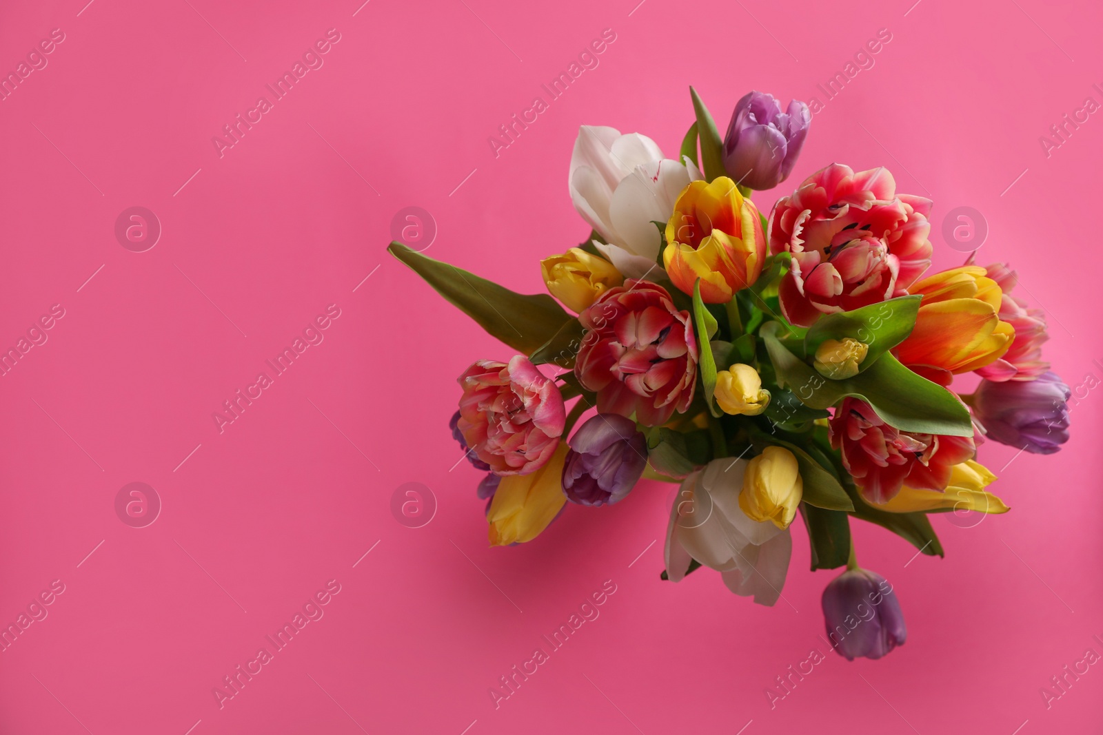 Photo of Bouquet of beautiful tulips on pink background, top view. Space for text