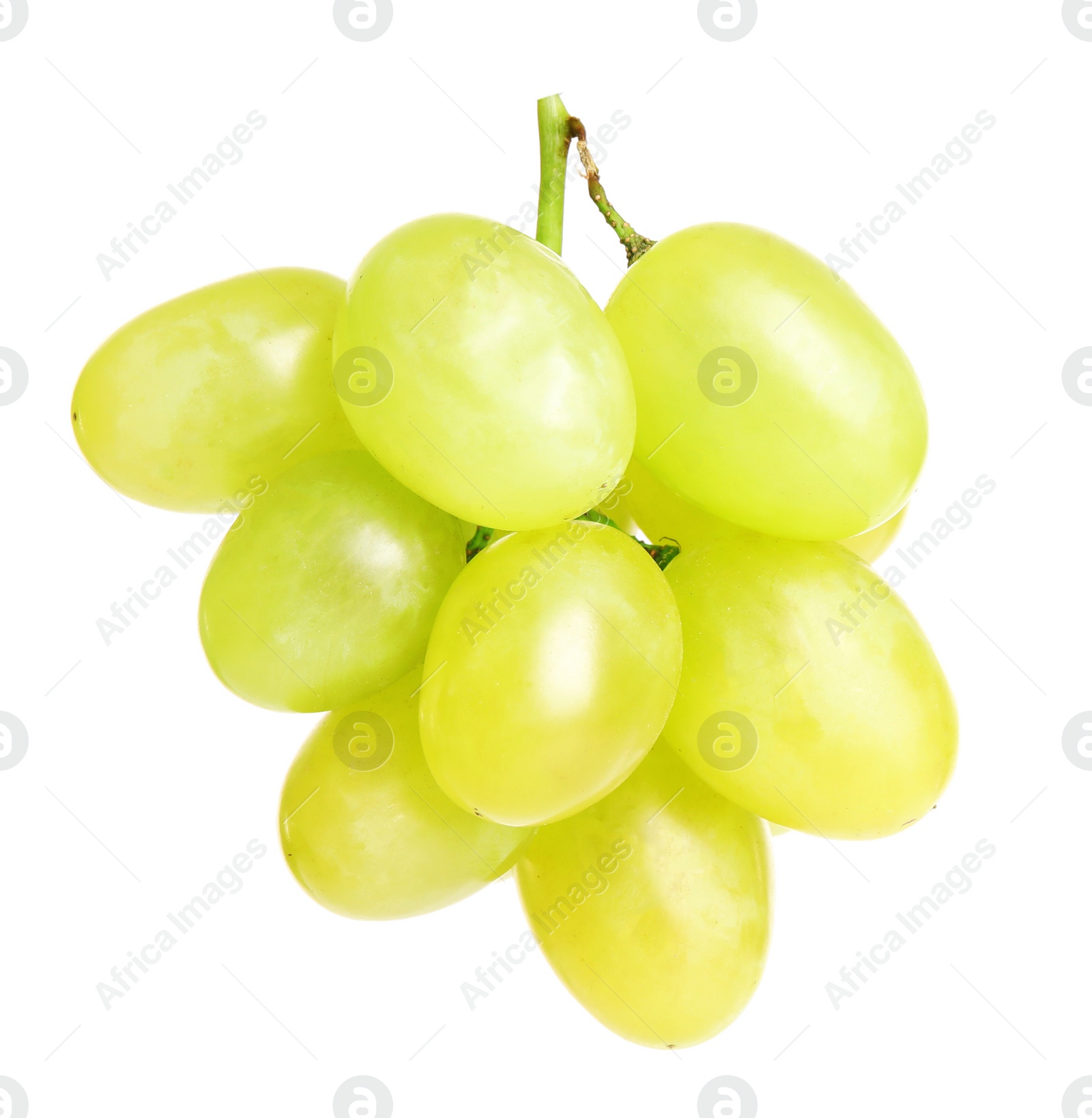 Photo of Fresh ripe juicy grapes isolated on white