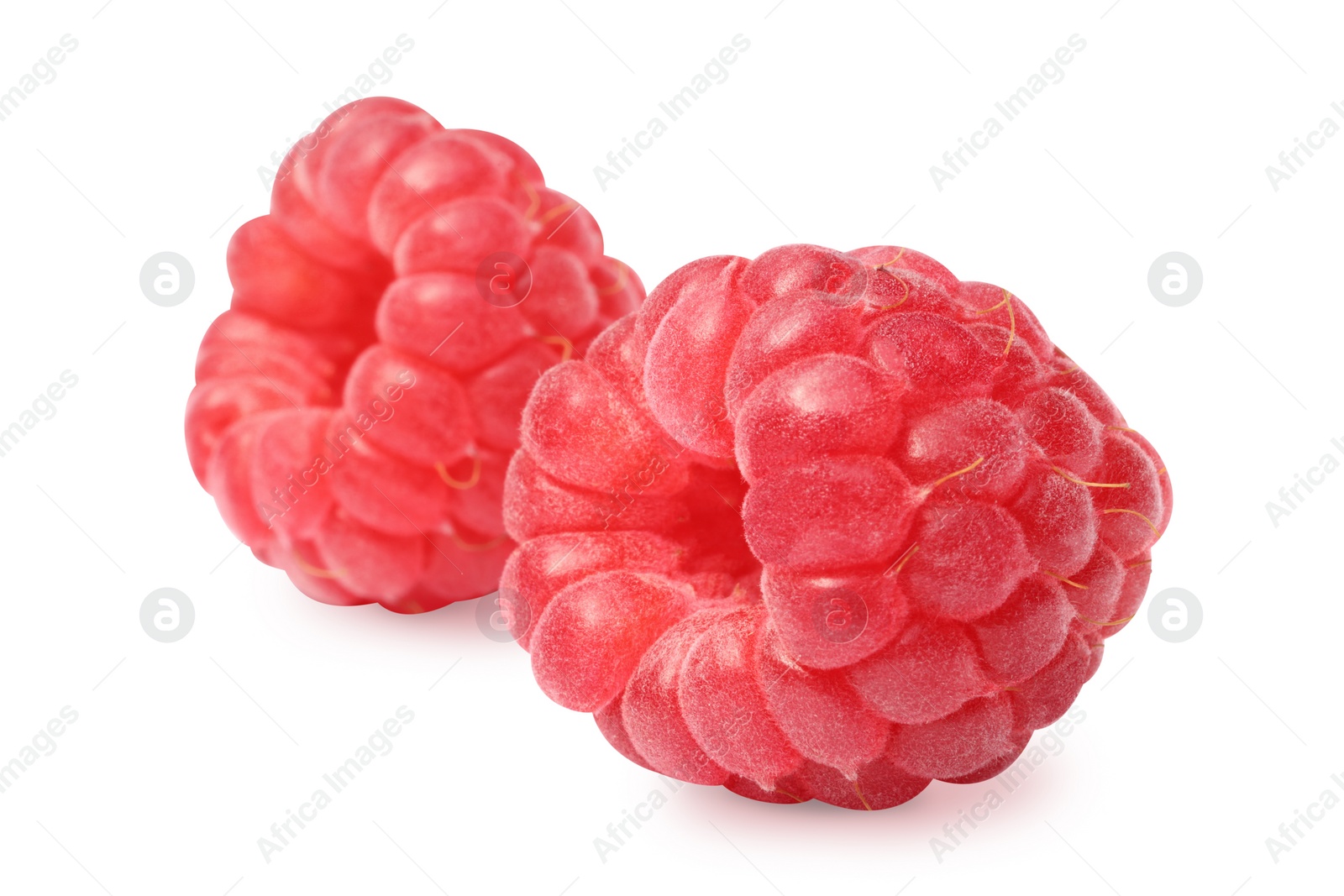 Photo of Two tasty ripe raspberries isolated on white