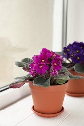 Photo of Beautiful potted violets on white wooden window sill. Delicate house plants