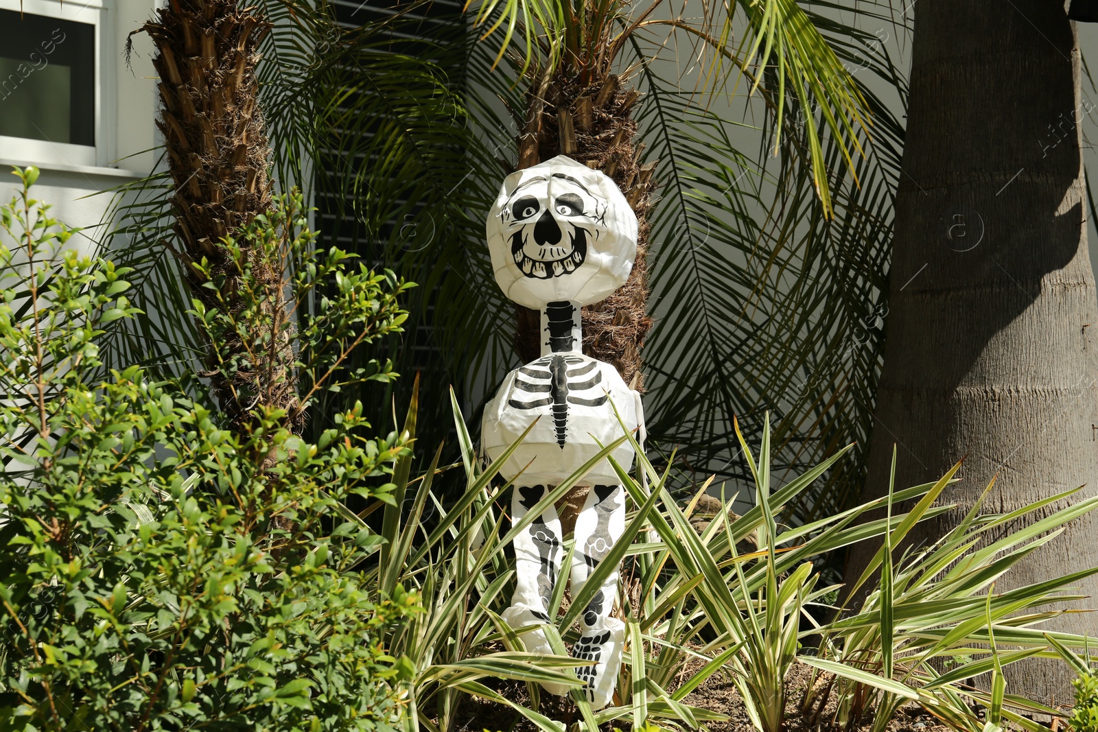 Photo of Funny skeleton in garden on sunny day. Halloween decor