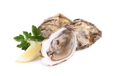 Photo of Fresh raw oysters served on white background