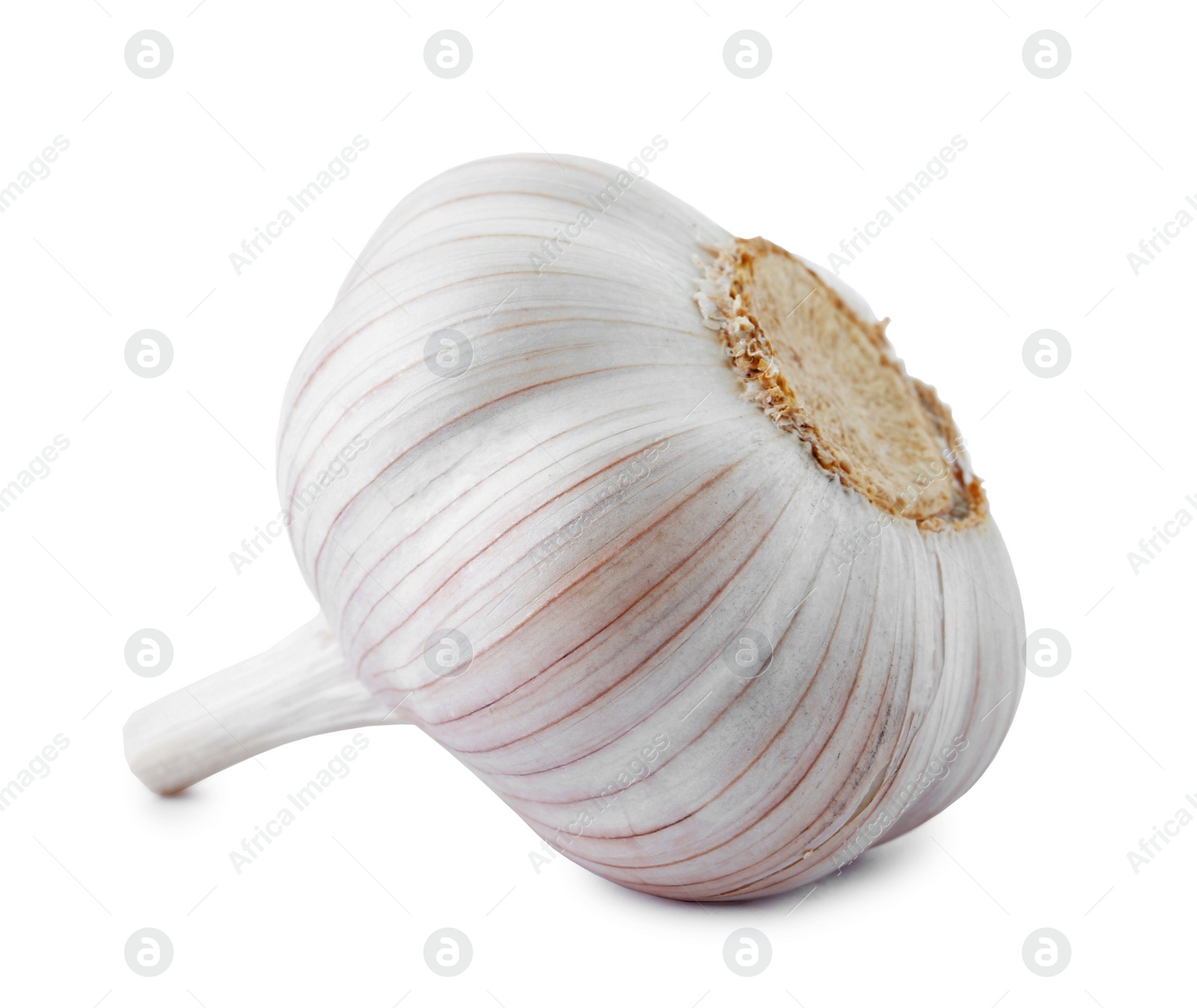 Photo of Fresh garlic on white background. Organic food