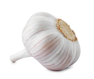 Photo of Fresh garlic on white background. Organic food