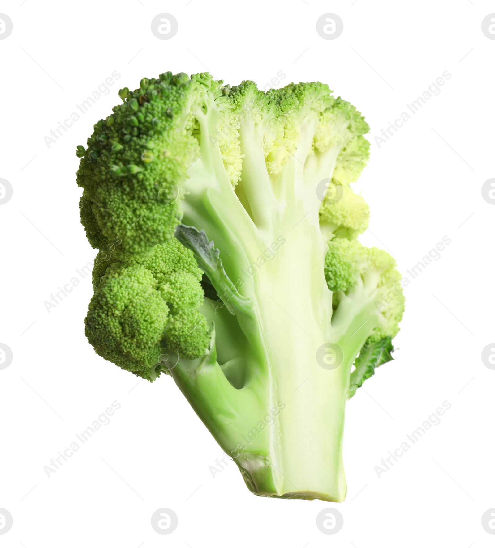 Photo of Slice of fresh green broccoli isolated on white