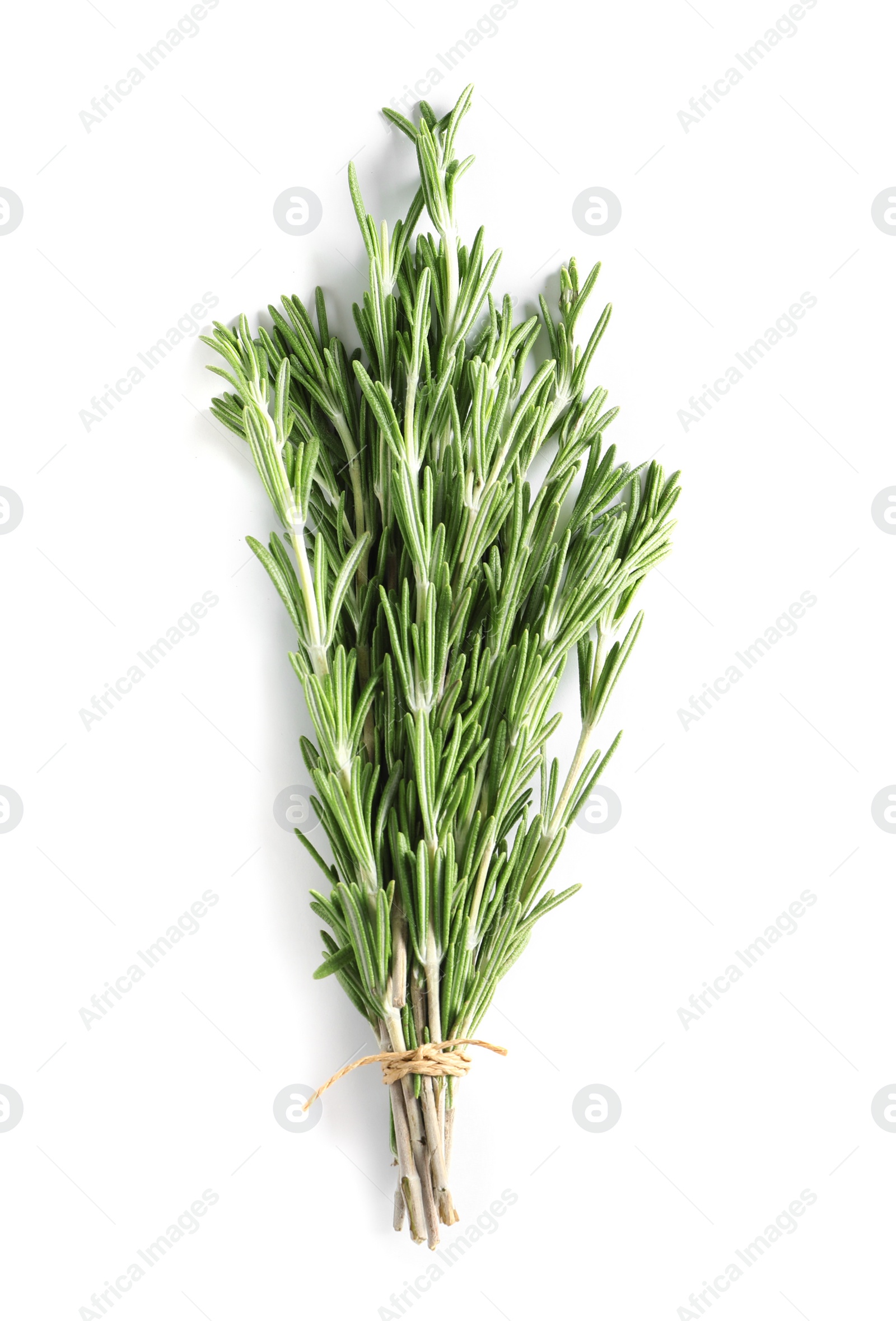 Photo of Fresh rosemary twigs tied with twine on white background