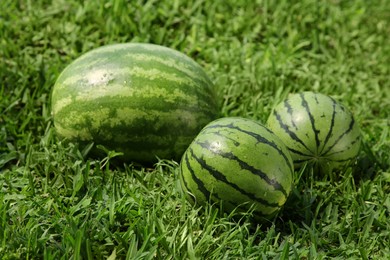 Photo of Delicious ripe watermelons on green grass outdoors