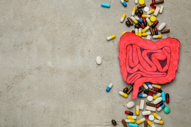 Paper cutout of small intestine and pills on light grey background, flat lay. Space for text